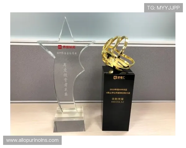 乐鱼网站荣获年度最佳娱乐平台称号赢得行业广泛认可