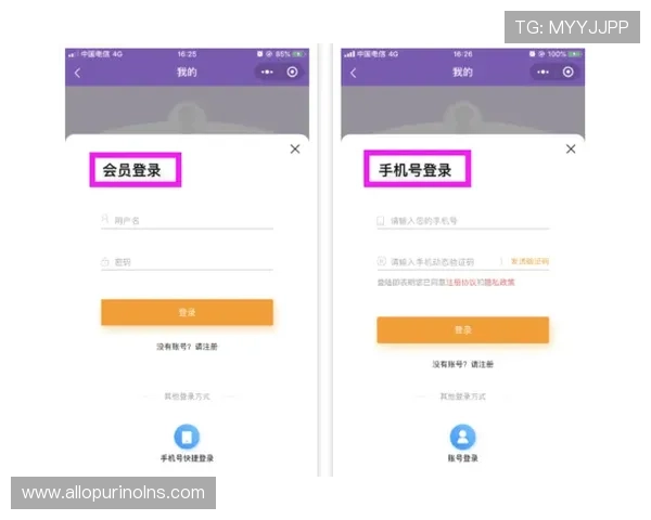 博鱼在线登录入口用户注册流程详解，帮助新用户快速完成账号注册