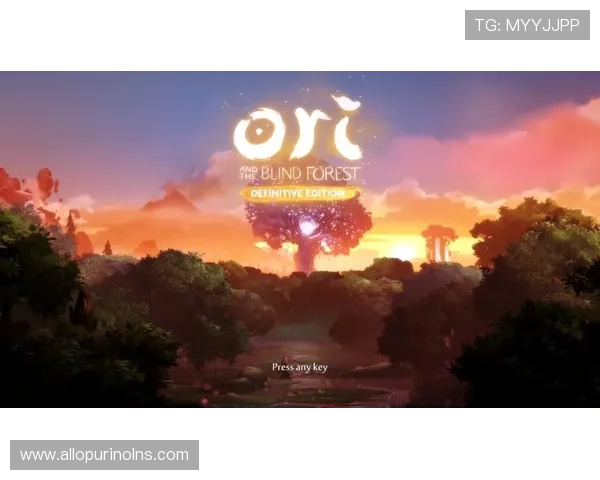 在ori体育官网上如何进行游戏充值与提现操作流程详解帮助玩家轻松完成财务管理