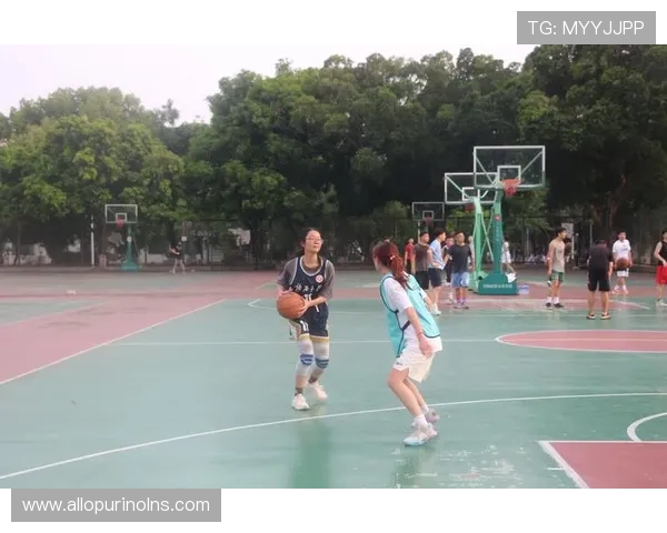 B体育真人手机版带你体验最真实的线上体育娱乐新体验