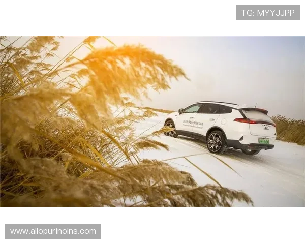 如何利用天空体育APP实现随时随地观看F1比赛的便捷体验