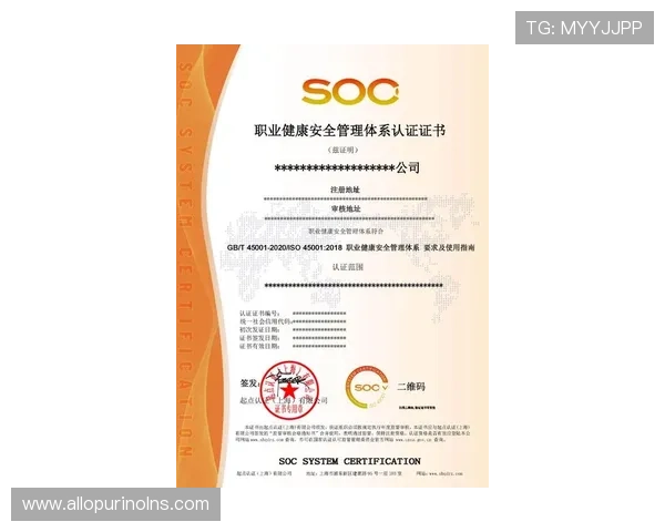 满冠体育登录入口最新版本，确保安全稳定的登录体验与账号保护