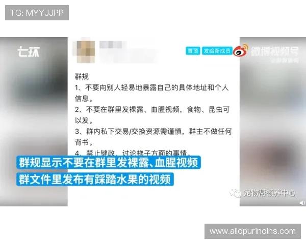 友博直播官网安全保障措施解析，保障用户个人信息与财产安全